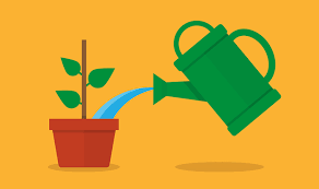 3 Reasons Lead Nurturing Matters