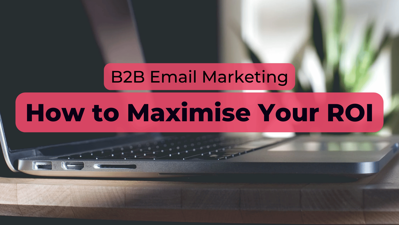 B2B Email Marketing: How to Maximise Your ROI