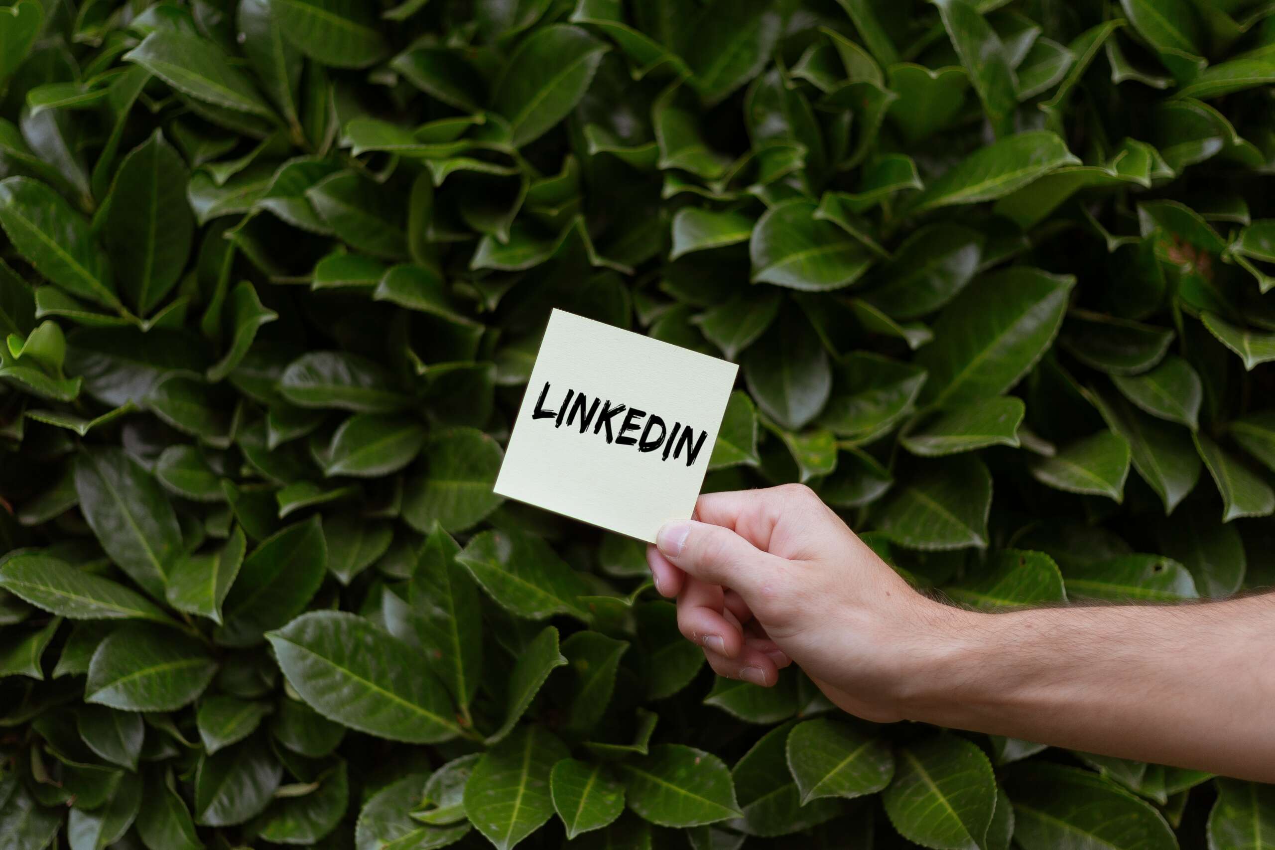 How To Master Quality LinkedIn Leads